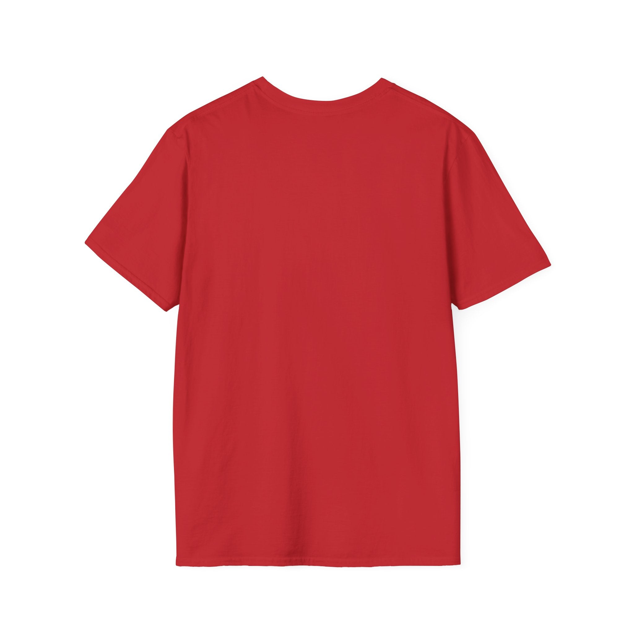 Romance Reader Energy T-Shirt (Teal text)
