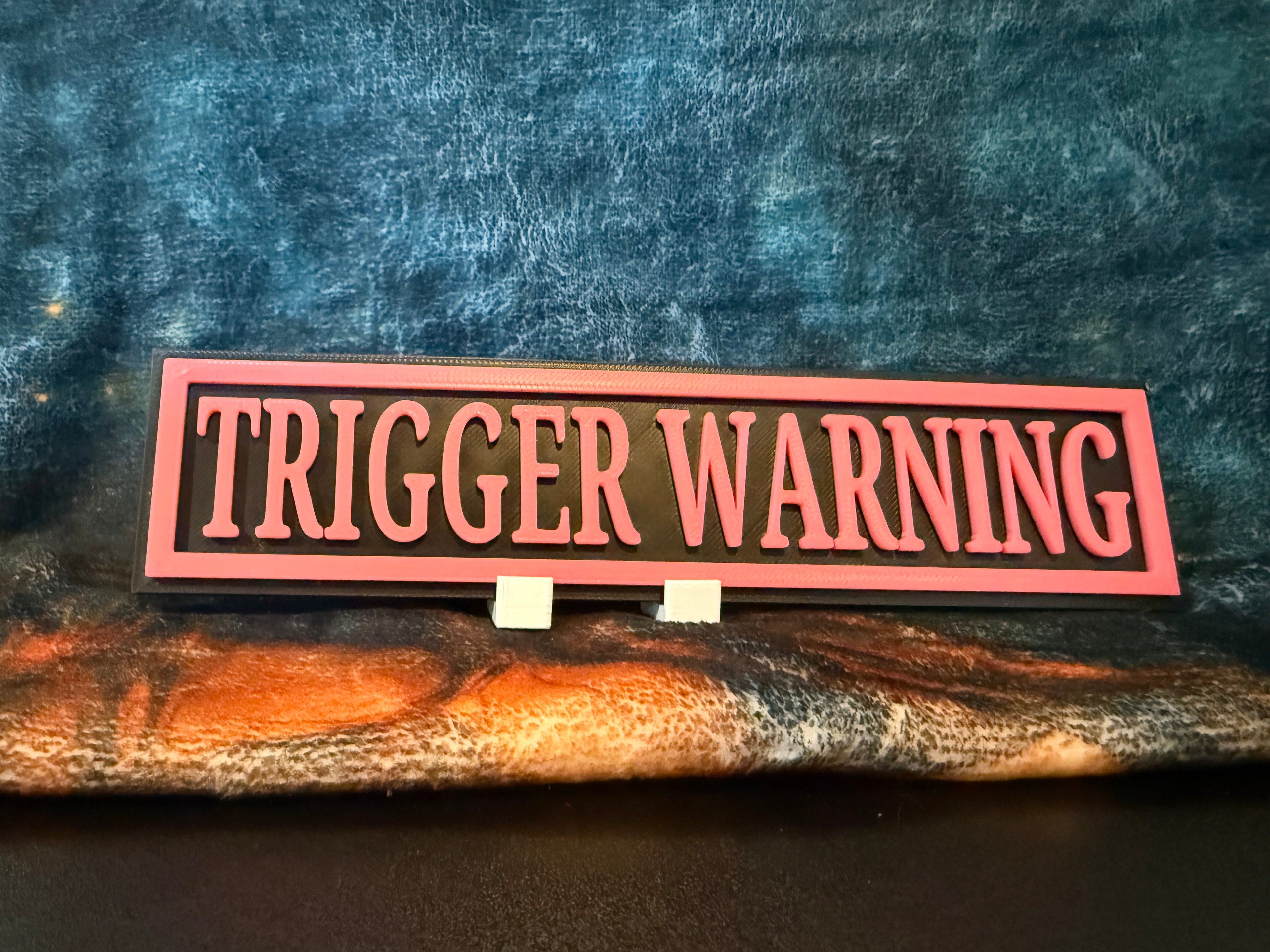 Medium Plaque Bookish Signs (Colors Random)