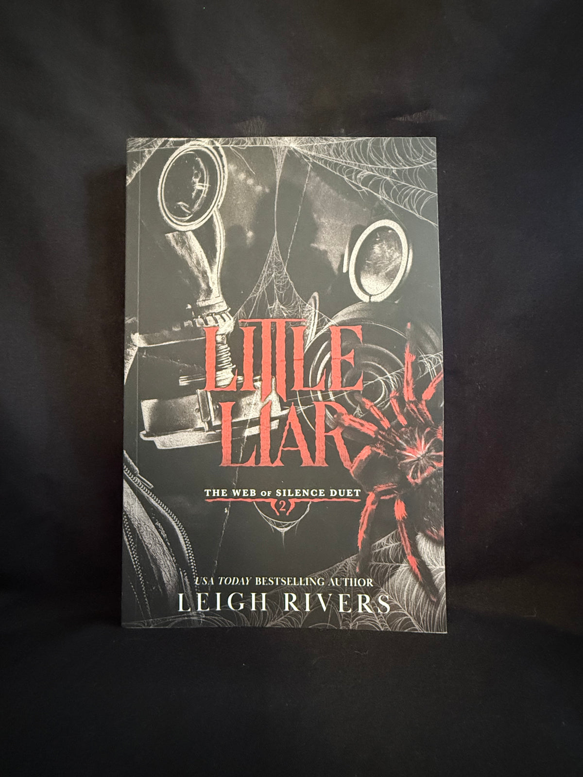 Web of Silence Duet

By Leigh Rivers