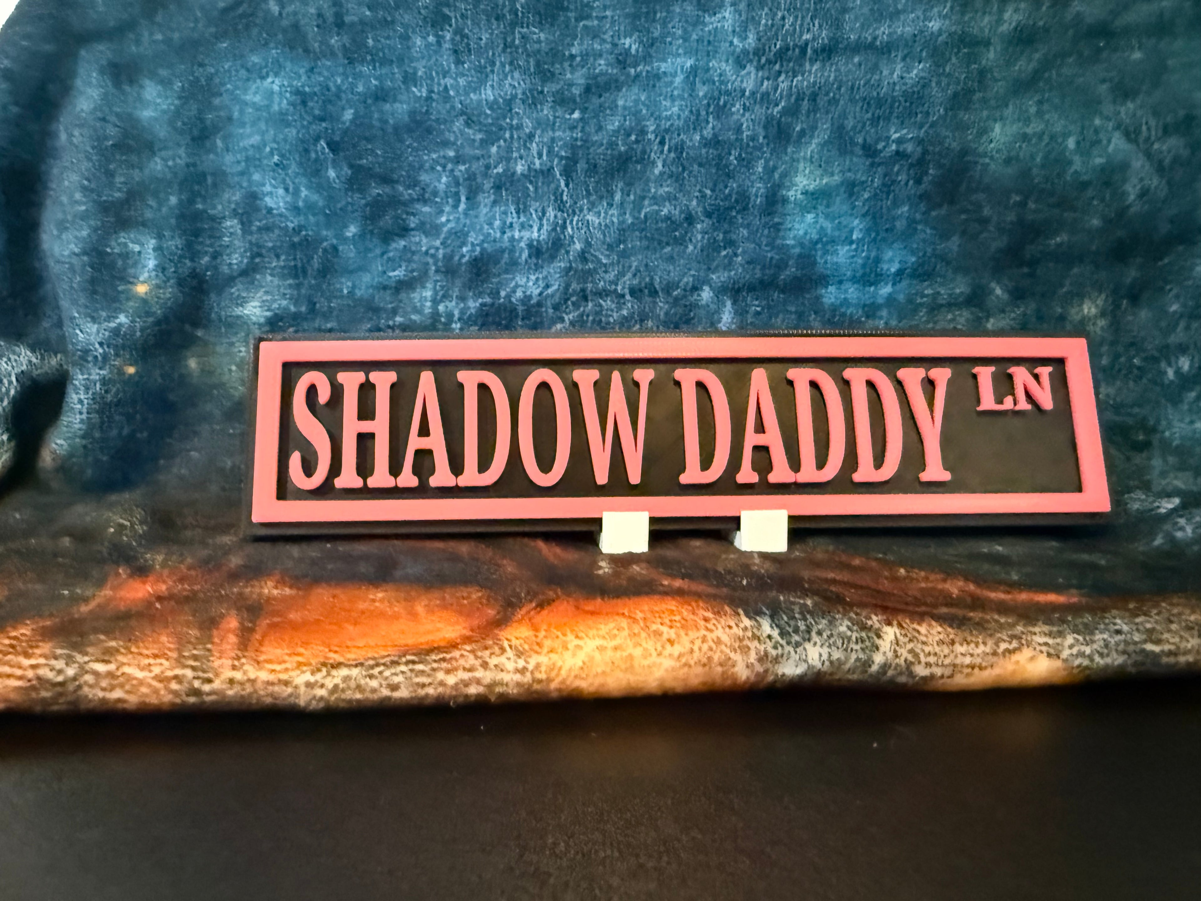Medium Plaque Bookish Signs (Colors Random)