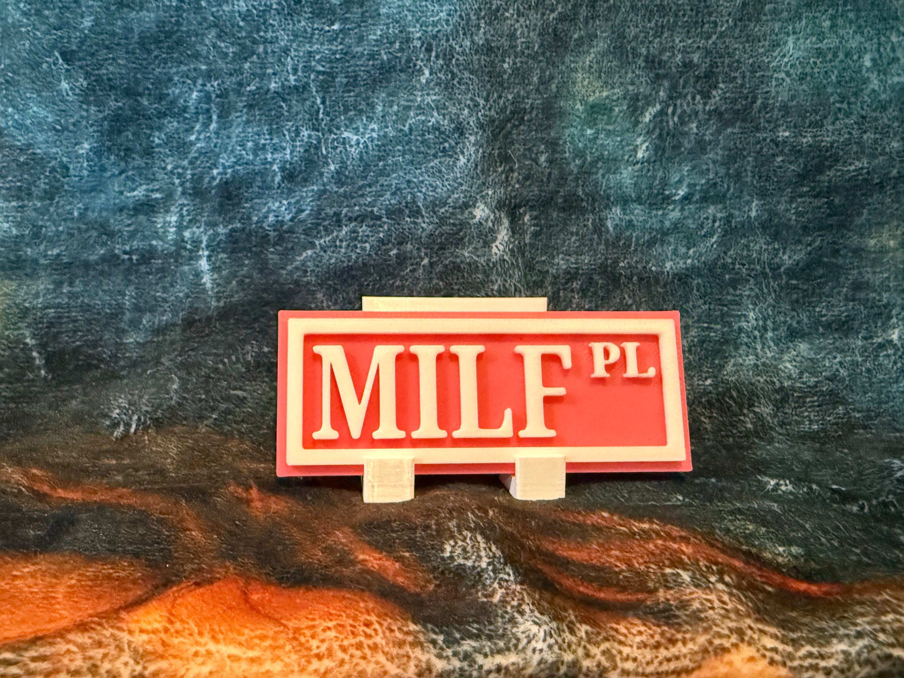 Small Plaque Bookish Signs (Colors Random)